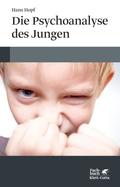 Die Psychoanalyse des Jungen