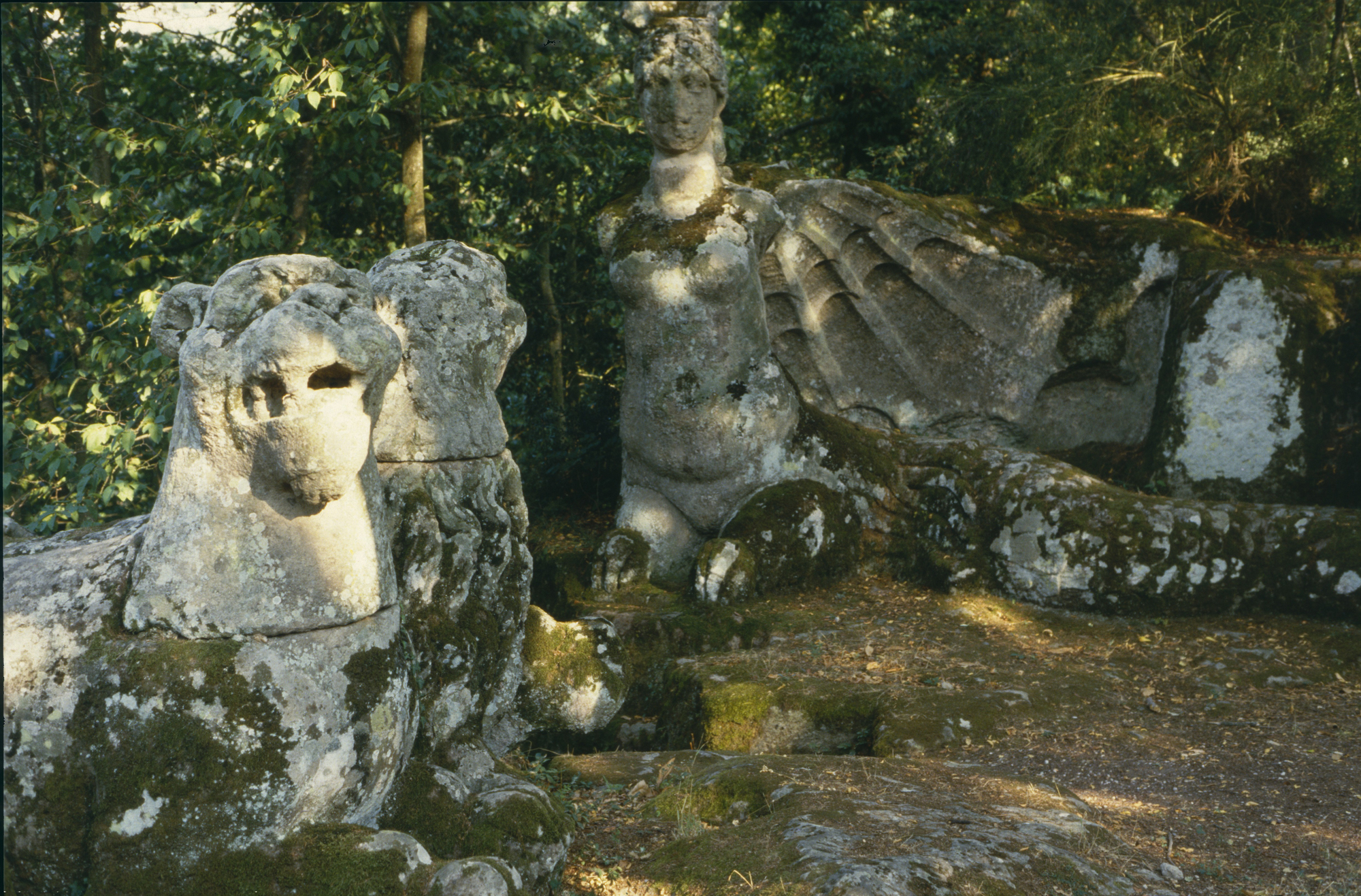 Hinrichs - Bomarzo, Echidna