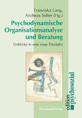 Psychodynamische Organisationsanalyse und Beratung