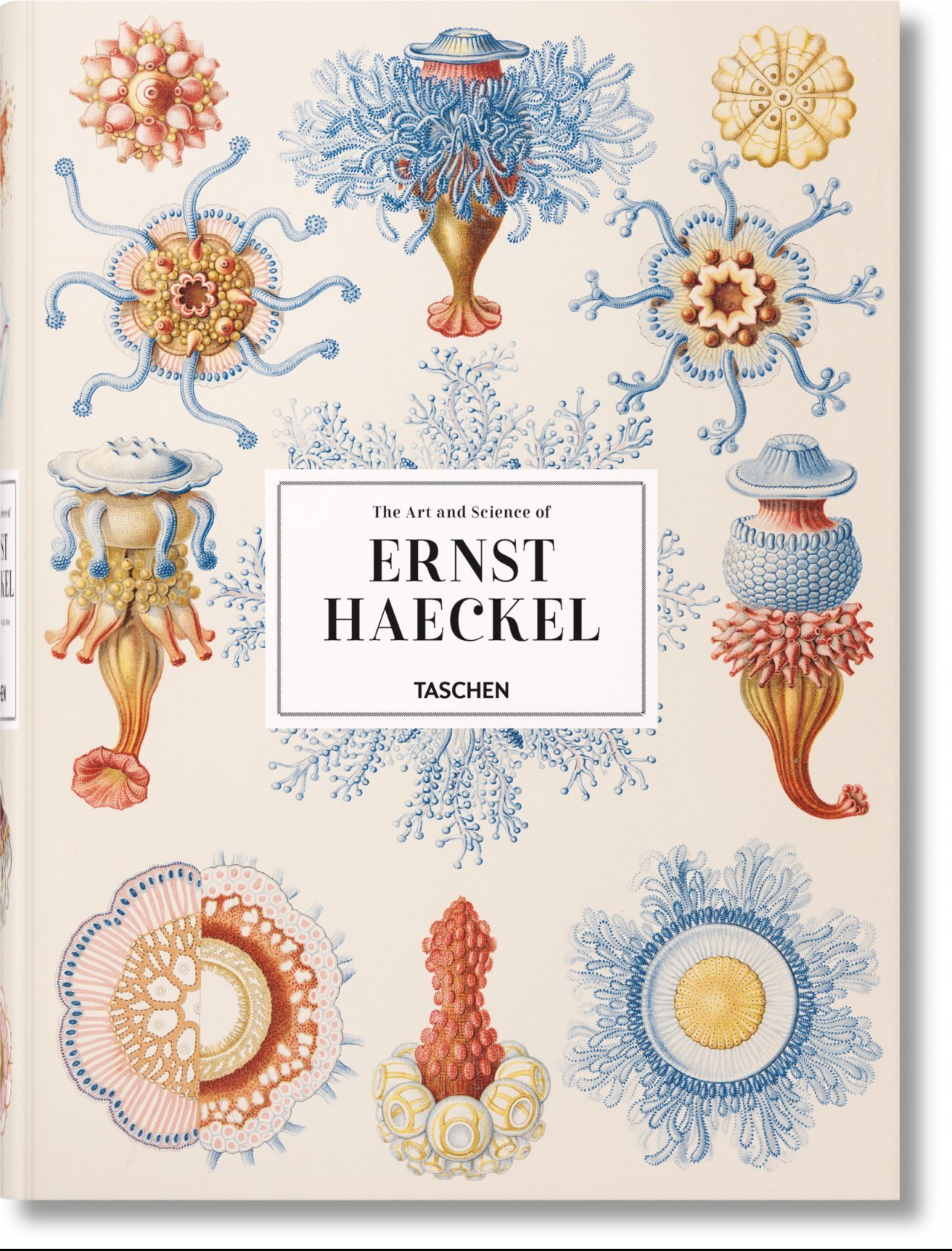 The Art and Science of Ernst Haeckel