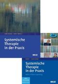 Systemische Therapie in der Praxis