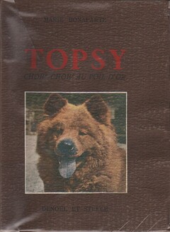 Topsy chow-chow au poil d'or