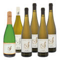 Probierpaket "Riesling ist Riesling ist Unsinn" 