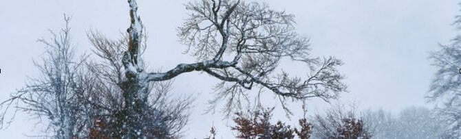 Winter in der Rhön - Foto (Ausschnitt) von Karin Anne Schöbel