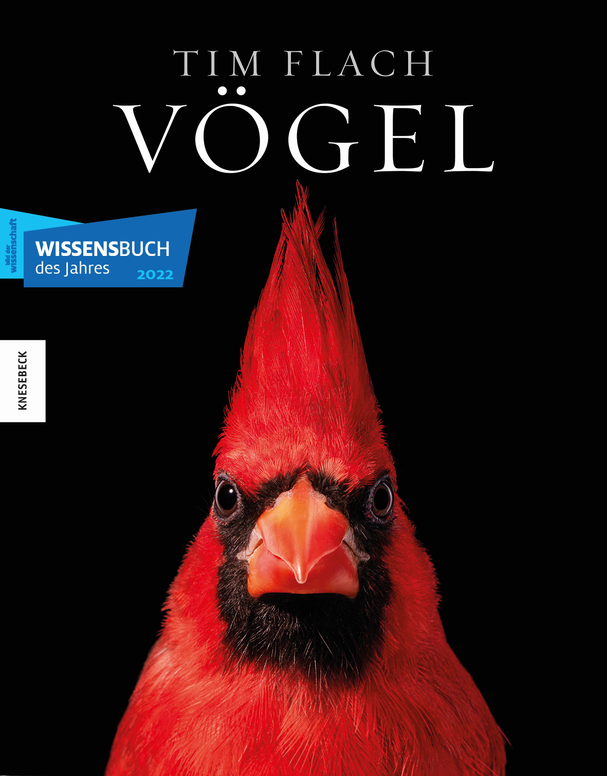 Vögel