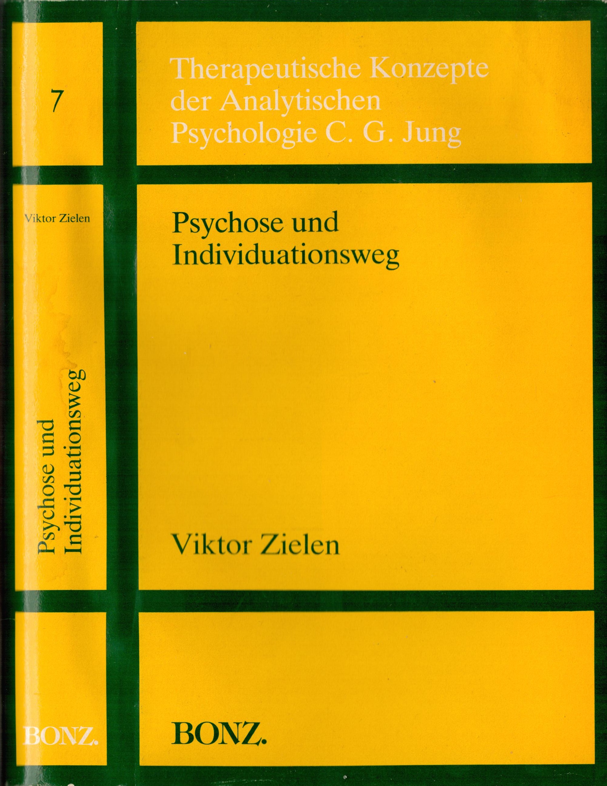 Psychose und Individuationsweg - Schutzumschlag